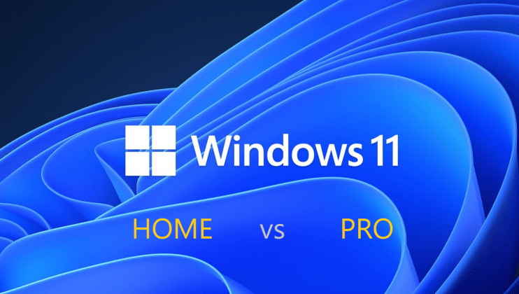 Windows 11 Home Vs Pro: Which one is right for you? - The Daily Story